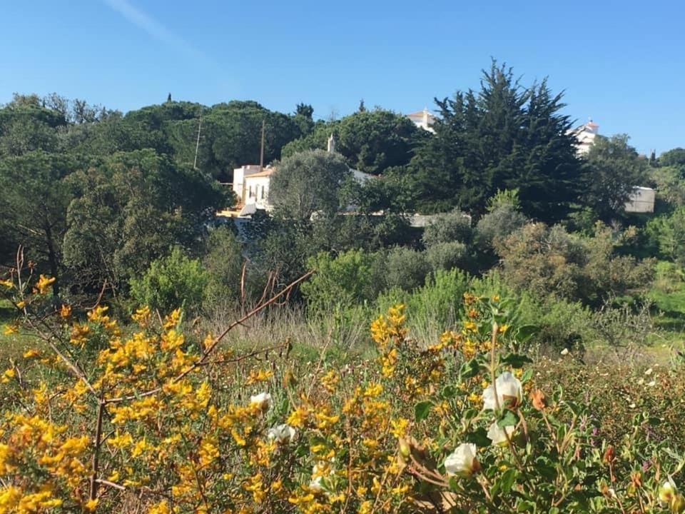 Willa Casa Da Ti Carolina Carvoeiro  Zewnętrze zdjęcie